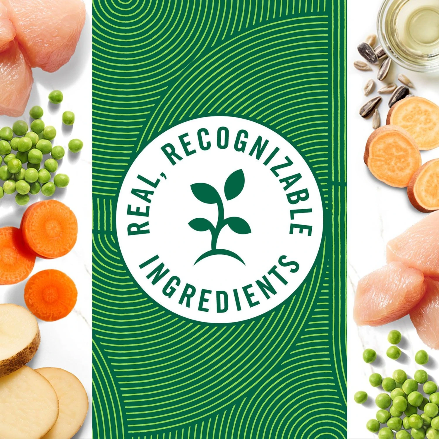 Nutro Grain-Free Premium Loaf Slow Cooked Chicken, Potato, Carrot & Pea Recipe Grain-Free Canned Adult Wet Dog Food 7 Nutro Grain-Free Premium Loaf Slow Cooked Chicken, Potato, Carrot & Pea Recipe Grain-Free Canned Adult Wet Dog Food - Image 5