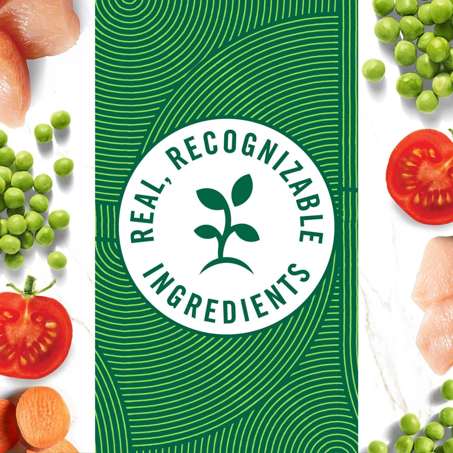 Nutro Puppy Tender Grain-Free Chicken, Sweet Potato & Pea Recipe Bites In Gravy Wet Dog Food Trays 7 Nutro Puppy Tender Grain-Free Chicken, Sweet Potato & Pea Recipe Bites In Gravy Wet Dog Food Trays - Image 5