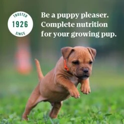 Nutro Puppy Tender Grain-Free Chicken, Sweet Potato & Pea Recipe Bites In Gravy Wet Dog Food Trays 18 Nutro Puppy Tender Grain-Free Chicken, Sweet Potato & Pea Recipe Bites In Gravy Wet Dog Food Trays -Blue Buffalo || ROYAL CANIN || Wellness Sales 86748 PT7. AC SS1800 V1691416148