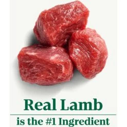 Nutro Natural Choice Large Breed Puppy Lamb & Brown Rice Recipe Dry Dog Food 18 Nutro Natural Choice Large Breed Puppy Lamb & Brown Rice Recipe Dry Dog Food -Blue Buffalo || ROYAL CANIN || Wellness Sales 86777 PT7. AC SS1800 V1691416149