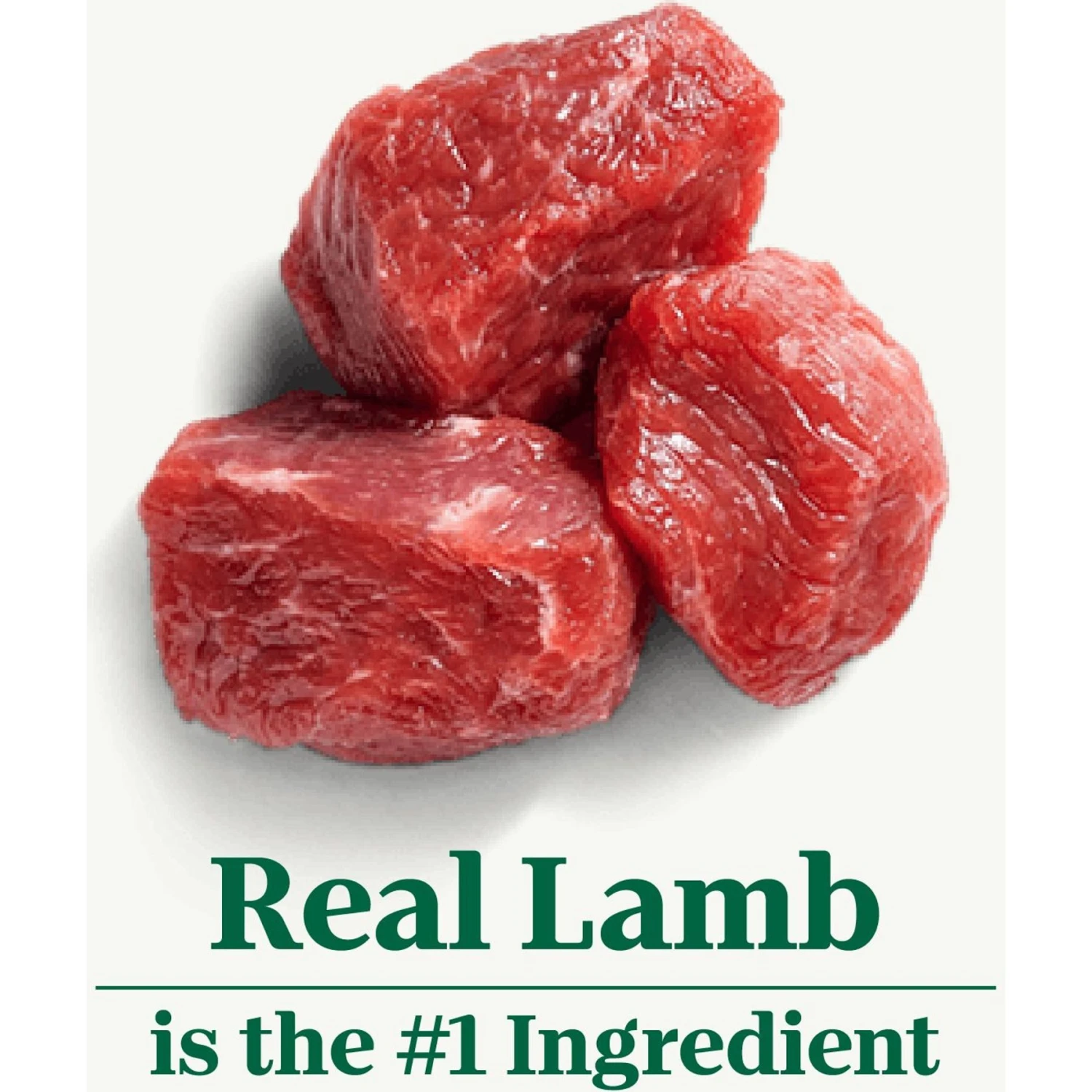 Nutro Natural Choice Senior Lamb & Brown Rice Recipe Dry Dog Food 6 Nutro Natural Choice Senior Lamb & Brown Rice Recipe Dry Dog Food - Image 4