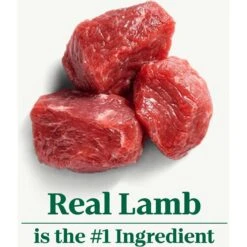 Nutro Natural Choice Small Bites Adult Lamb & Brown Rice Recipe Dry Dog Food 14 Nutro Natural Choice Small Bites Adult Lamb & Brown Rice Recipe Dry Dog Food -Blue Buffalo || ROYAL CANIN || Wellness Sales 86784 PT3. AC SS1800 V1691423585