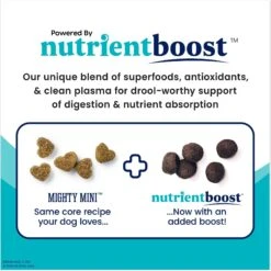 Solid Gold NutrientBoost Mighty Mini Gut Health Small & Toy Breed Grain-Free Chicken, Chickpea & Pumpkin Dry Dog Food -Blue Buffalo || ROYAL CANIN || Wellness Sales 870430 PT2. AC SS1800 V1695999061