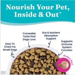 Solid Gold NutrientBoost Mighty Mini Gut Health Small & Toy Breed Grain-Free Chicken, Chickpea & Pumpkin Dry Dog Food -Blue Buffalo || ROYAL CANIN || Wellness Sales 870430 PT4. AC SS1800 V1695999562