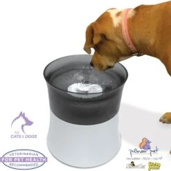 Pioneer Pet Vortex Elevated Drinking Dog Fountain, Gray, Medium -Blue Buffalo || ROYAL CANIN || Wellness Sales 873118 PT3. AC SS1800 V1686334835
