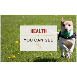 Merrick Limited Ingredient Diet Grain-Free Wet Dog Food Real Lamb Recipe 16 Merrick Limited Ingredient Diet Grain-Free Wet Dog Food Real Lamb Recipe -Blue Buffalo || ROYAL CANIN || Wellness Sales 87337 PT5. AC SS1800 V1631603550