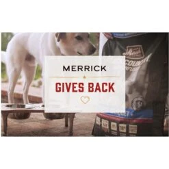 Merrick Limited Ingredient Diet Grain-Free Wet Dog Food Real Lamb Recipe 18 Merrick Limited Ingredient Diet Grain-Free Wet Dog Food Real Lamb Recipe -Blue Buffalo || ROYAL CANIN || Wellness Sales 87337 PT7. AC SS1800 V1631621188