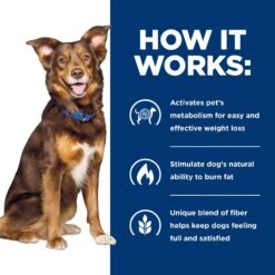 Hill's Prescription Diet Metabolic Weight Management Vegetable & Beef Stew Canned Dog Food -Blue Buffalo || ROYAL CANIN || Wellness Sales 87468 PT6. AC SS1800 V1521064463