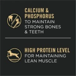 Purina Pro Plan Specialized Variety Pack Adult Large Breed High Protein Chicken & Rice, Beef & Rice In Gravy Wet Dog Food, 13-oz Can, Case Of 12 13 Purina Pro Plan Specialized Variety Pack Adult Large Breed High Protein Chicken & Rice, Beef & Rice In Gravy Wet Dog Food, 13-oz Can, Case Of 12 -Blue Buffalo || ROYAL CANIN || Wellness Sales 877678 PT3. AC SS1800 V1686070756