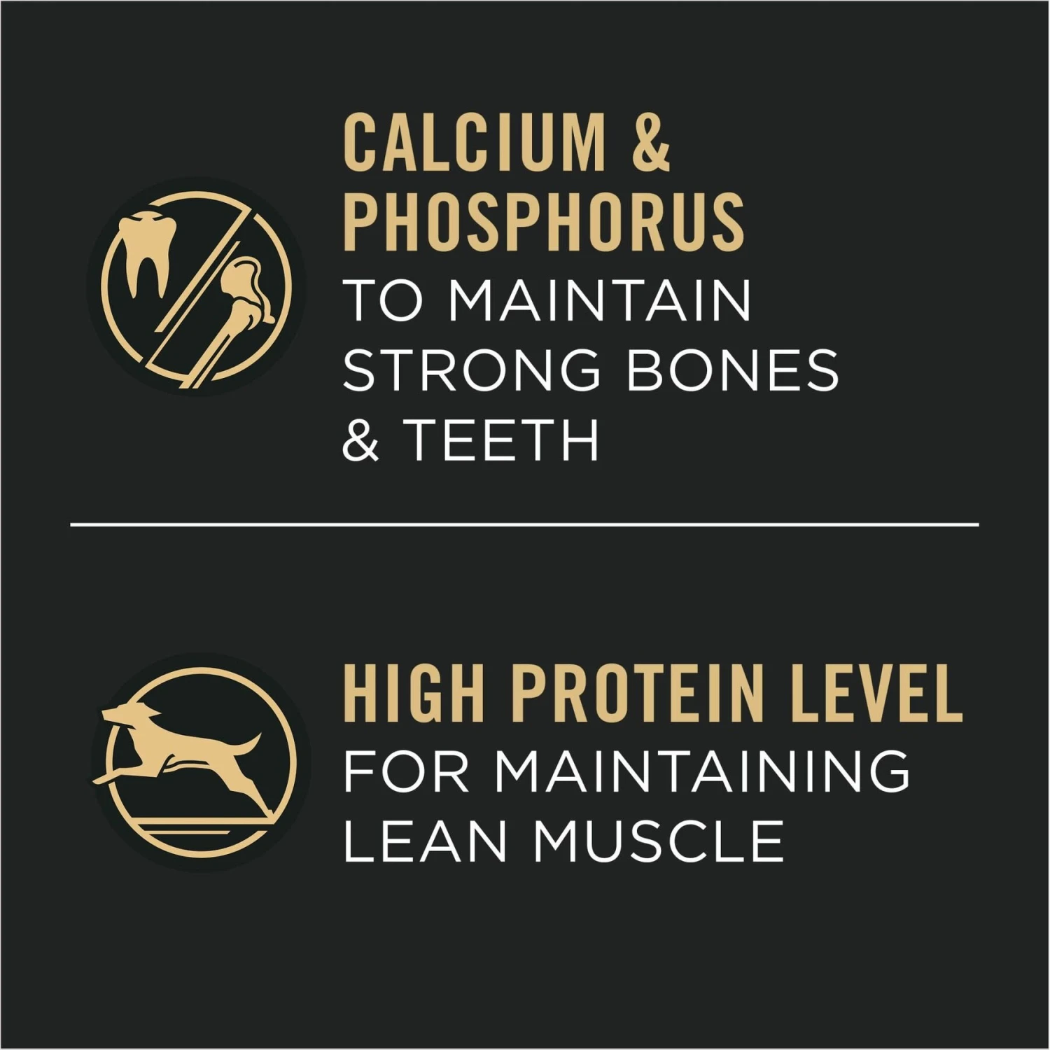 Purina Pro Plan Specialized Variety Pack Adult Large Breed High Protein Chicken & Rice, Beef & Rice In Gravy Wet Dog Food, 13-oz Can, Case Of 12 6 Purina Pro Plan Specialized Variety Pack Adult Large Breed High Protein Chicken & Rice, Beef & Rice In Gravy Wet Dog Food, 13-oz Can, Case Of 12 - Image 4