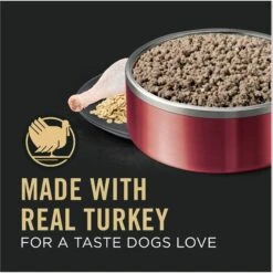 Purina Pro Plan Adult Sensitive Skin & Stomach Turkey & Oat Meal Entree​ Wet Dog Food, 13-oz Can, Case Of 12 -Blue Buffalo || ROYAL CANIN || Wellness Sales 877726 PT2. AC SS1800 V1686070756
