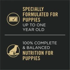 Purina Pro Plan Development Variety Pack Puppy Grain-Free Chicken Entree & Turkey Entree Wet Dog Food, 13-oz Can, Case Of 12 17 Purina Pro Plan Development Variety Pack Puppy Grain-Free Chicken Entree & Turkey Entree Wet Dog Food, 13-oz Can, Case Of 12 -Blue Buffalo || ROYAL CANIN || Wellness Sales 877758 PT6. AC SS1800 V1686070758