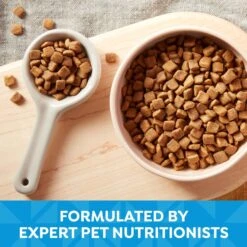 Nature's Recipe Grain-Free Puppy Chicken, Sweet Potato, & Pumpkin Recipe Dry Dog Food 14 Nature's Recipe Grain-Free Puppy Chicken, Sweet Potato, & Pumpkin Recipe Dry Dog Food -Blue Buffalo || ROYAL CANIN || Wellness Sales 87777 PT4. AC SS1800 V1701983002
