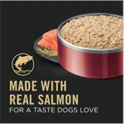 Purina Pro Plan Sensitive Skin & Stomach Wet Dog Food Pate Salmon & Rice Entree, 13-oz Can, Case Of 12 -Blue Buffalo || ROYAL CANIN || Wellness Sales 877790 PT2. AC SS1800 V1686070816