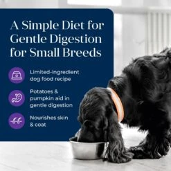 Blue Buffalo Basics Skin & Stomach Care Grain-Free Turkey & Potato Small Breed Adult Wet Dog Food -Blue Buffalo || ROYAL CANIN || Wellness Sales 88199 PT2. AC SS1800 V1646253728