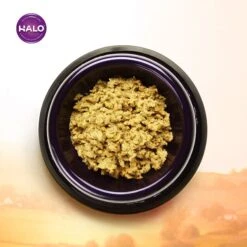 Halo Holistic Garden Of Vegan Recipe Adult Canned Dog Food & Halo Holistic Vegan Dog Food Complete Digestive Health Plant-Based Recipe With Superfoods Adult Formula Dry Dog Food -Blue Buffalo || ROYAL CANIN || Wellness Sales 882750 PT4. AC SS1800 V1686162182