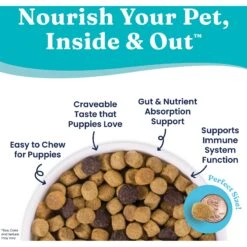 Solid Gold Wolf Cub Bison & Oatmeal Puppy Formula Dry Dog Food -Blue Buffalo || ROYAL CANIN || Wellness Sales 882958 PT4. AC SS1800 V1697726270