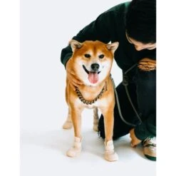 RIFRUF Caesar 1 Dog Boot -Blue Buffalo || ROYAL CANIN || Wellness Sales 884238 PT4. AC SS1800 V1699456308