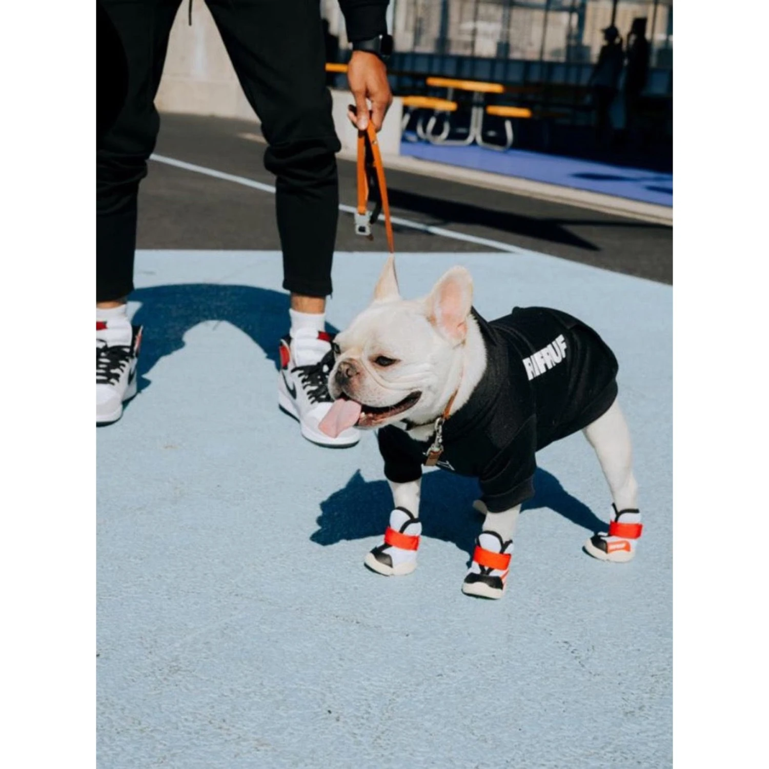 RIFRUF Caesar 1S Dog Boot, Borough 5 RIFRUF Caesar 1S Dog Boot, Borough - Image 3