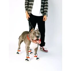 RIFRUF Caesar 1S Dog Boot, Borough 10 RIFRUF Caesar 1S Dog Boot, Borough -Blue Buffalo || ROYAL CANIN || Wellness Sales 884342 PT3. AC SS1800 V1699652969