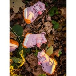 RIFRUF Apollo 1 Dog Boot 11 RIFRUF Apollo 1 Dog Boot -Blue Buffalo || ROYAL CANIN || Wellness Sales 884742 PT2. AC SS1800 V1699651507