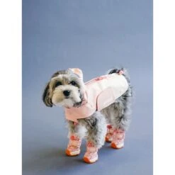 RIFRUF Apollo 1 Dog Boot 13 RIFRUF Apollo 1 Dog Boot -Blue Buffalo || ROYAL CANIN || Wellness Sales 884742 PT4. AC SS1800 V1699460504