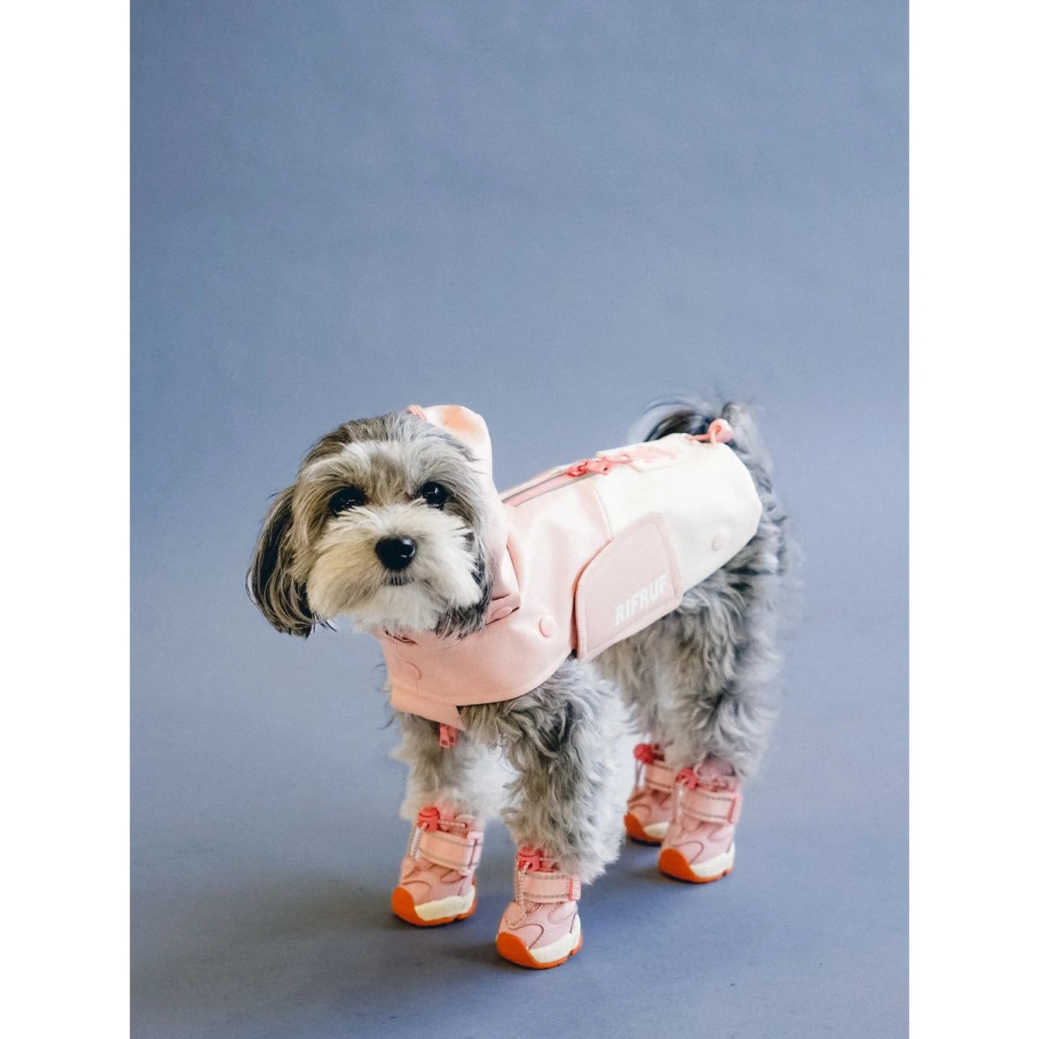 RIFRUF Apollo 1 Dog Boot 7 RIFRUF Apollo 1 Dog Boot - Image 5