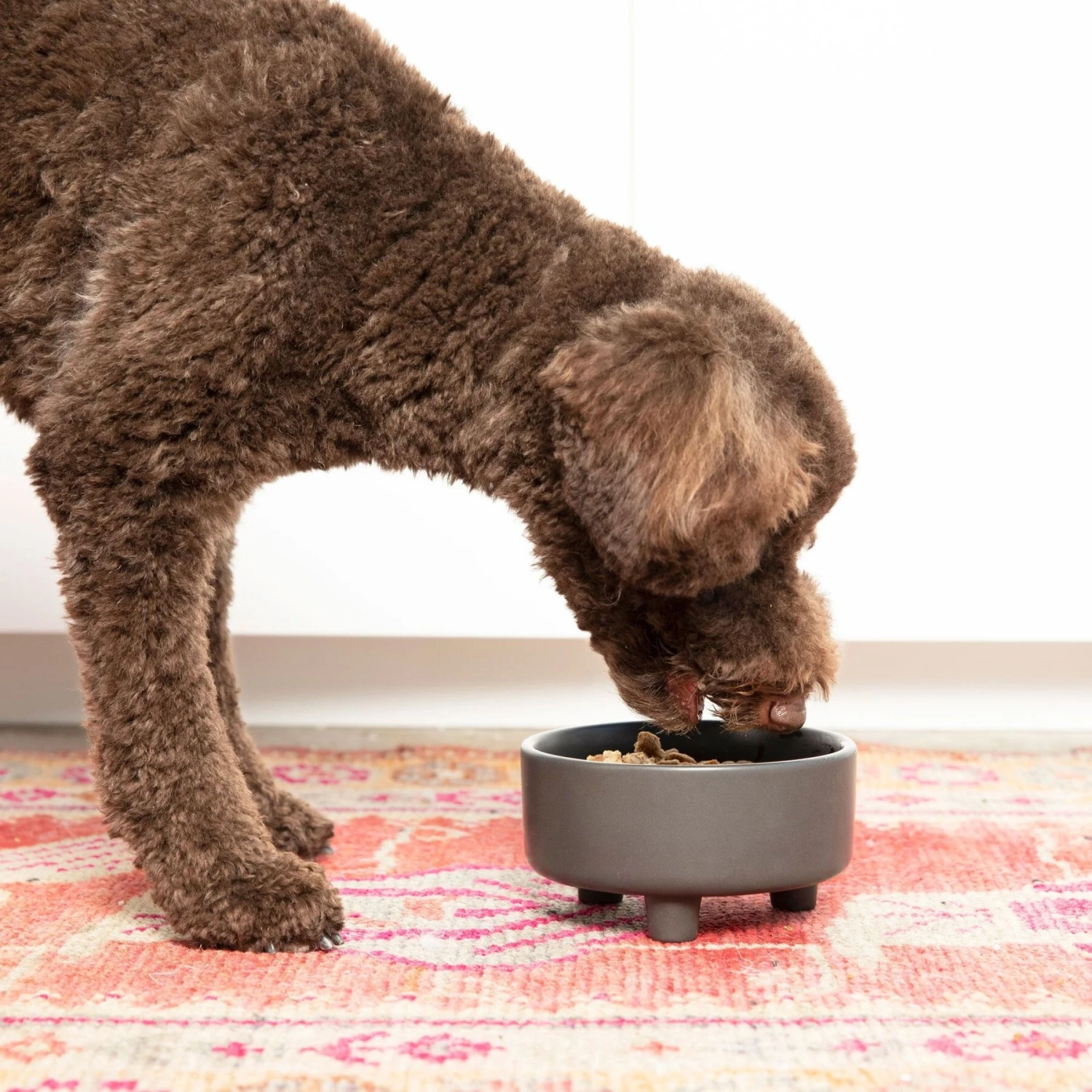 Waggo Uplift Elevated Ceramic Cat & Dog Bowl 5 Waggo Uplift Elevated Ceramic Cat & Dog Bowl - Image 3