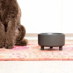 Waggo Uplift Elevated Ceramic Cat & Dog Bowl 12 Waggo Uplift Elevated Ceramic Cat & Dog Bowl -Blue Buffalo || ROYAL CANIN || Wellness Sales 889142 PT3. AC SS1800 V1698094193