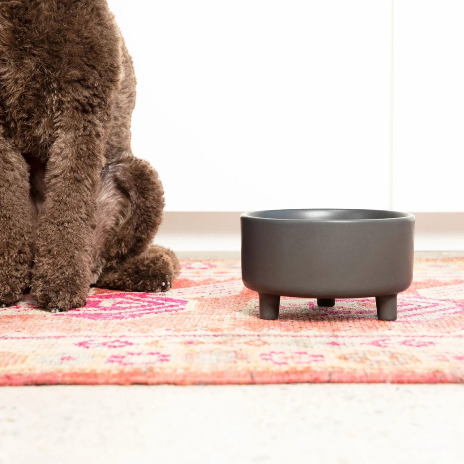 Waggo Uplift Elevated Ceramic Cat & Dog Bowl 6 Waggo Uplift Elevated Ceramic Cat & Dog Bowl - Image 4