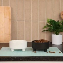 Waggo Uplift Elevated Ceramic Cat & Dog Bowl 13 Waggo Uplift Elevated Ceramic Cat & Dog Bowl -Blue Buffalo || ROYAL CANIN || Wellness Sales 889142 PT4. AC SS1800 V1698093460