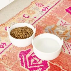 Waggo Handle It Ceramic Cat & Dog Bowl, White, Medium -Blue Buffalo || ROYAL CANIN || Wellness Sales 889270 PT2. AC SS1800 V1697582684