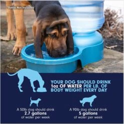 Petmate Big Blue Outdoor Dog Water Bowl, 5-gal -Blue Buffalo || ROYAL CANIN || Wellness Sales 891350 PT6. AC SS1800 V1688579736