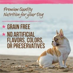Merrick Lil' Plates Petite Pates Grain-Free Small Breed Wet Dog Food, Variety Pack, 3-oz Can, Case Of 12 -Blue Buffalo || ROYAL CANIN || Wellness Sales 891678 PT6. AC SS1800 V1688580435