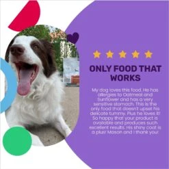 I And Love And You Nude Food Grain-Free Poultry Palooza Dry Dog Food -Blue Buffalo || ROYAL CANIN || Wellness Sales 89280 PT3. AC SS1800 V1692292916