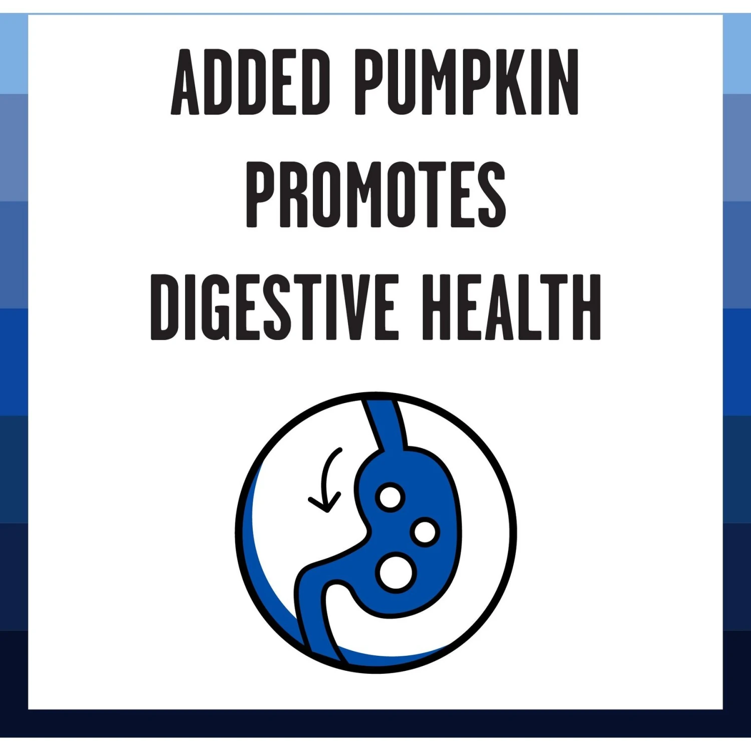 BIXBI Rawbble Grain-Free Canned Turkey Recipe Wet Dog Food For Puppies, 12.5-oz Can, Case Of 12 6 BIXBI Rawbble Grain-Free Canned Turkey Recipe Wet Dog Food For Puppies, 12.5-oz Can, Case Of 12 - Image 4