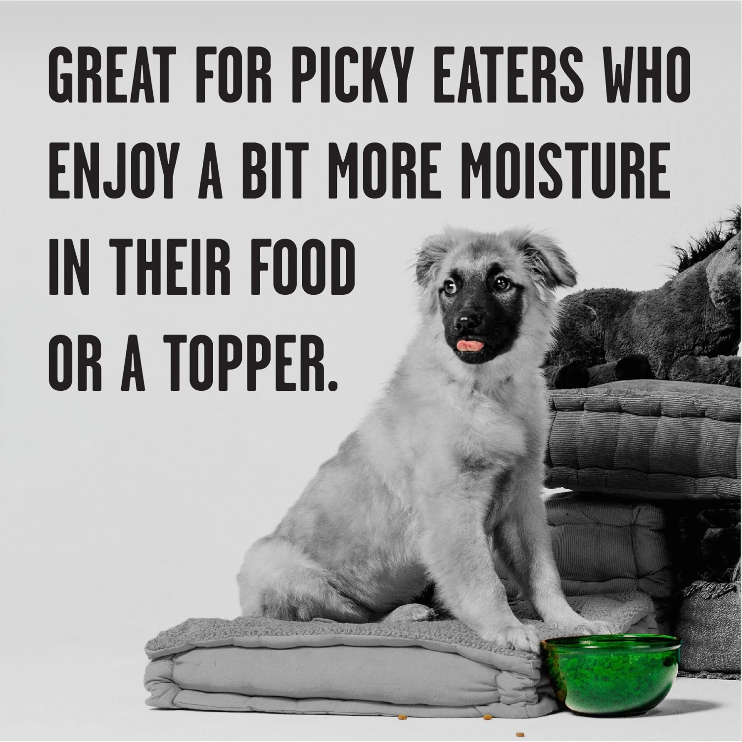 BIXBI Rawbble Grain-Free Canned Turkey Recipe Wet Dog Food For Puppies, 12.5-oz Can, Case Of 12 7 BIXBI Rawbble Grain-Free Canned Turkey Recipe Wet Dog Food For Puppies, 12.5-oz Can, Case Of 12 - Image 5