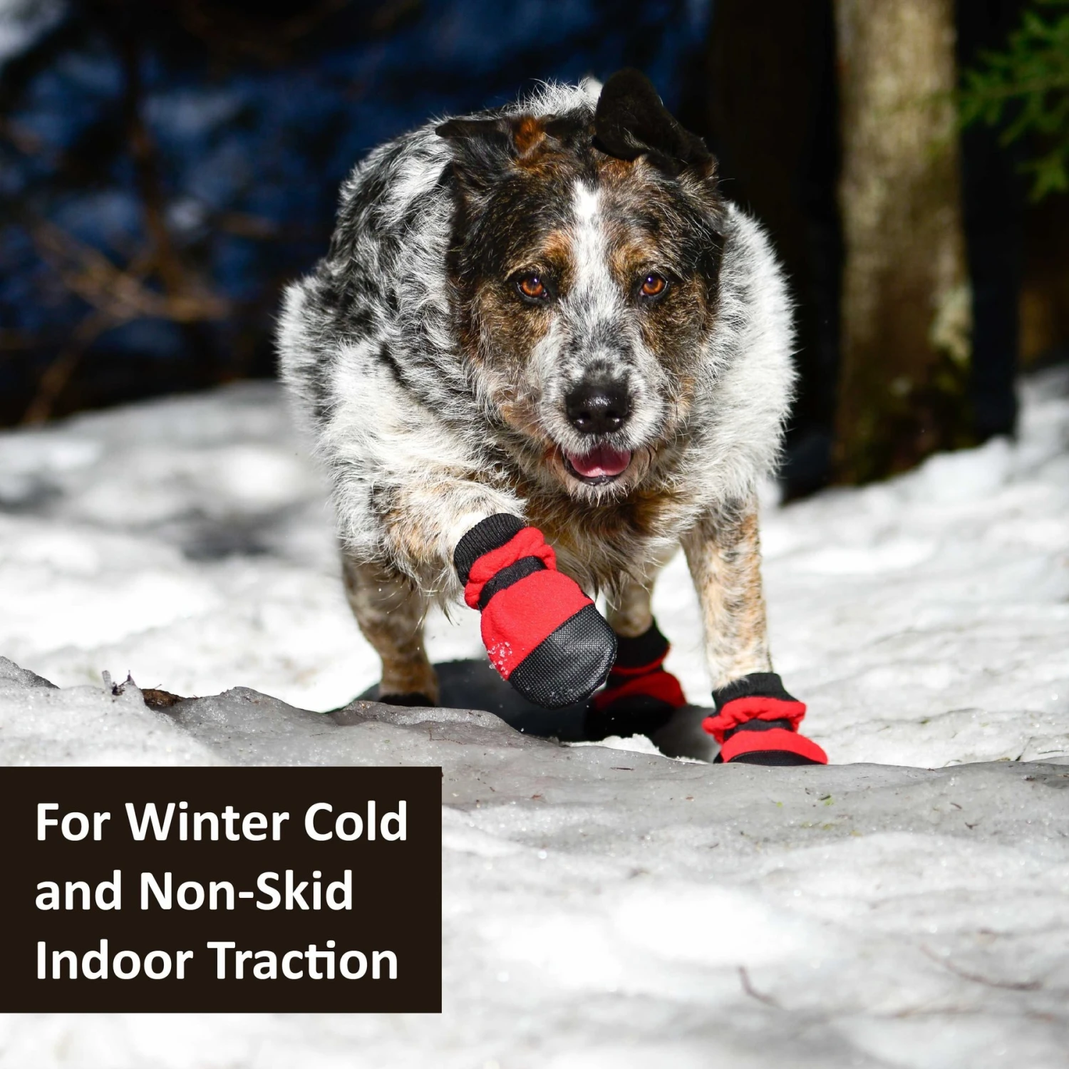 Muttluks Hott Doggers Dog Boot, 4 Boots 5 Muttluks Hott Doggers Dog Boot, 4 Boots - Image 3