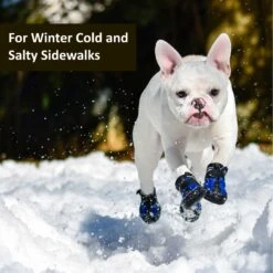 Muttluks Snow Mushers Winter Dog Boot, 2 Boots -Blue Buffalo || ROYAL CANIN || Wellness Sales 897710 PT2. AC SS1800 V1689799851