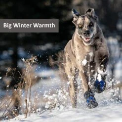 Muttluks Snow Mushers Winter Dog Boot, 2 Boots -Blue Buffalo || ROYAL CANIN || Wellness Sales 897710 PT6. AC SS1800 V1689960683