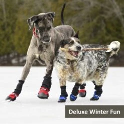 Muttluks Deluxe Winter Dog Boots With Waterproof Fabric, 4 Boots -Blue Buffalo || ROYAL CANIN || Wellness Sales 897774 PT6. AC SS1800 V1689797454