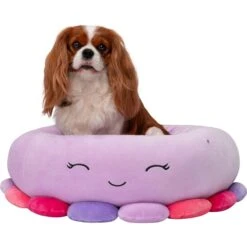 Squishmallows JPT Beula The Octopus Cat & Dog Bed, Purple -Blue Buffalo || ROYAL CANIN || Wellness Sales 898158 PT3. AC SS1800 V1688072135