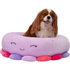 Squishmallows JPT Beula The Octopus Cat & Dog Bed, Purple -Blue Buffalo || ROYAL CANIN || Wellness Sales 898158 PT4. AC SS1800 V1688053908