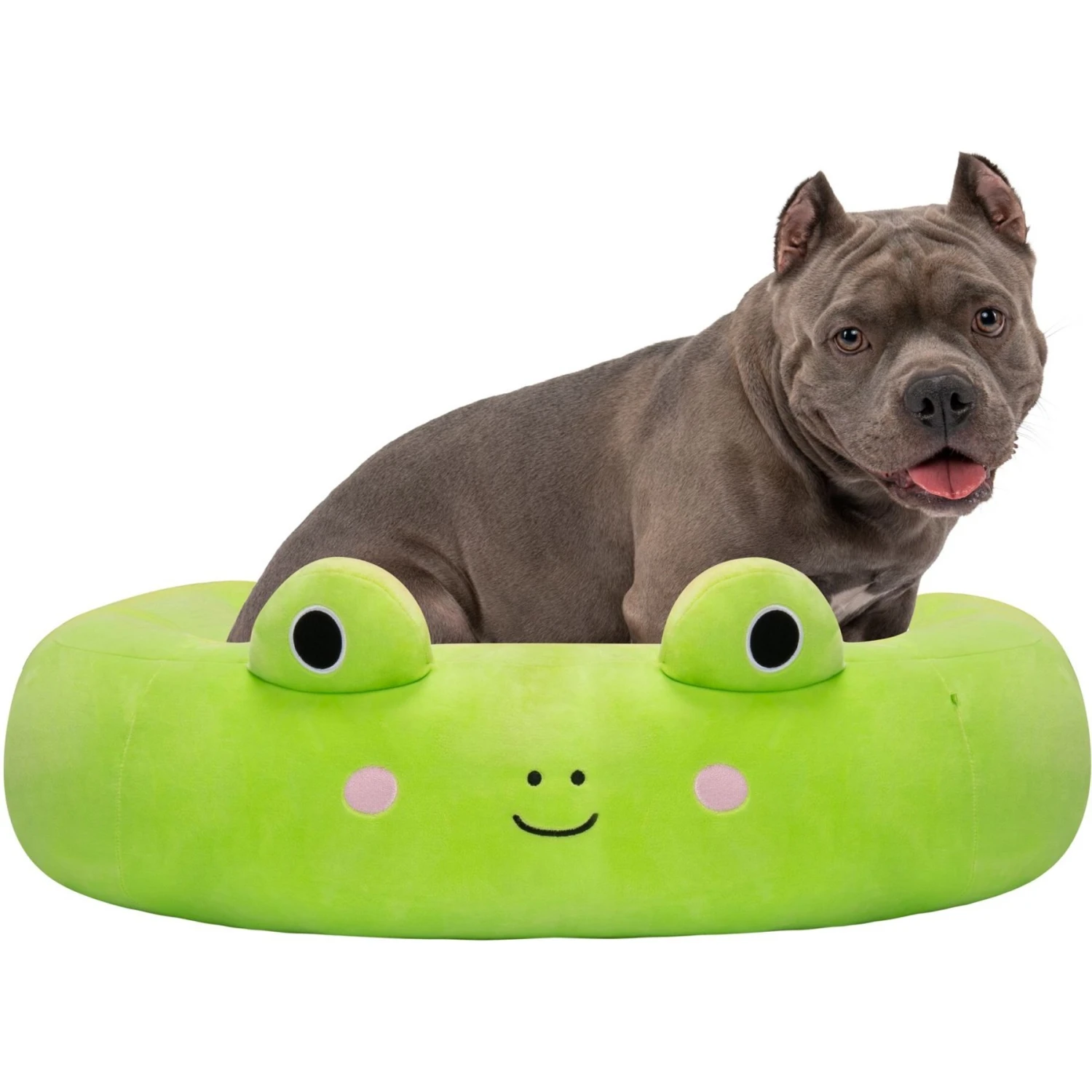 Squishmallows JPT Wendy The Frog Cat & Dog Bed, Green 6 Squishmallows JPT Wendy The Frog Cat & Dog Bed, Green - Image 4