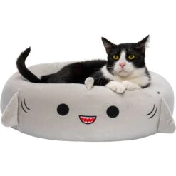 Squishmallows JPT Gordon The Shark Cat & Dog Bed, Grey 14 Squishmallows JPT Gordon The Shark Cat & Dog Bed, Grey -Blue Buffalo || ROYAL CANIN || Wellness Sales 898246 PT5. AC SS1800 V1688061538