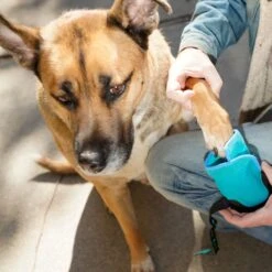 Healers Urban Walker III Waterproof Dog Boots -Blue Buffalo || ROYAL CANIN || Wellness Sales 899974 PT5. AC SS1800 V1688061533