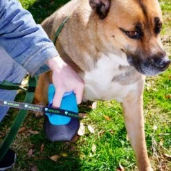 Healers Urban Walker III Waterproof Dog Boots -Blue Buffalo || ROYAL CANIN || Wellness Sales 899974 PT6. AC SS1800 V1688061593