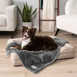 PetAmi Fluffy Fleece Cat & Dog Throw Blanket 11 PetAmi Fluffy Fleece Cat & Dog Throw Blanket -Blue Buffalo || ROYAL CANIN || Wellness Sales 902678 PT2. AC SS1800 V1687813500