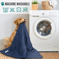 PetAmi Soft Cooling Cat & Dog Blanket -Blue Buffalo || ROYAL CANIN || Wellness Sales 903118 PT4. AC SS1800 V1687881261