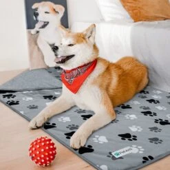 PetAmi Sherpa Fleece Waterproof Cat & Dog Blanket -Blue Buffalo || ROYAL CANIN || Wellness Sales 903614 PT4. AC SS1800 V1688153628